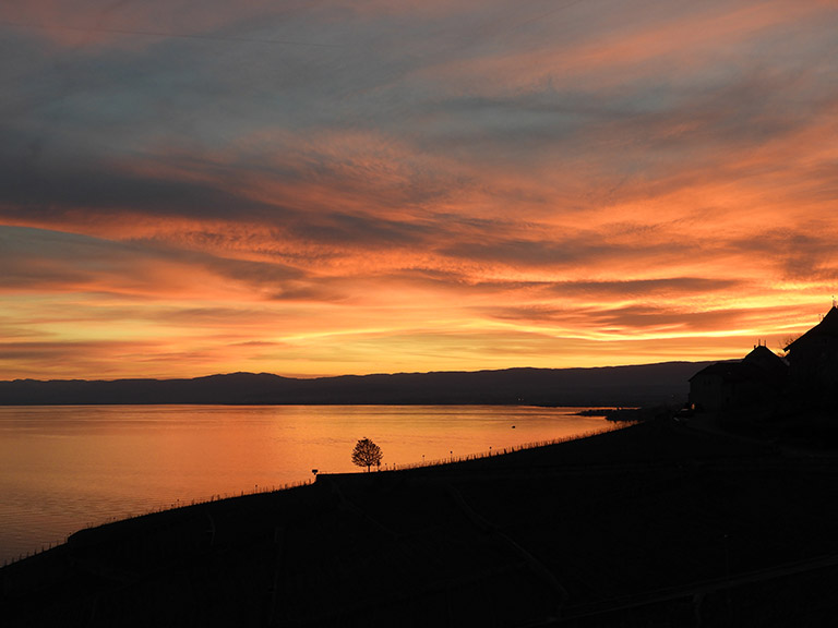 appartement_vue_sunset