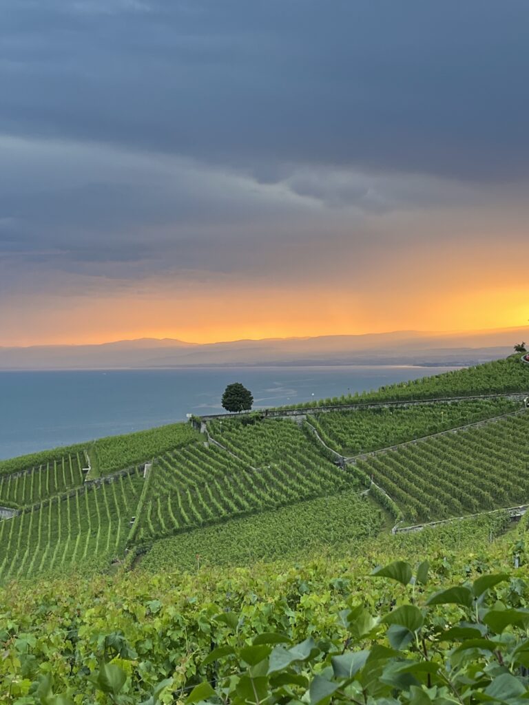 Coucher de soleil